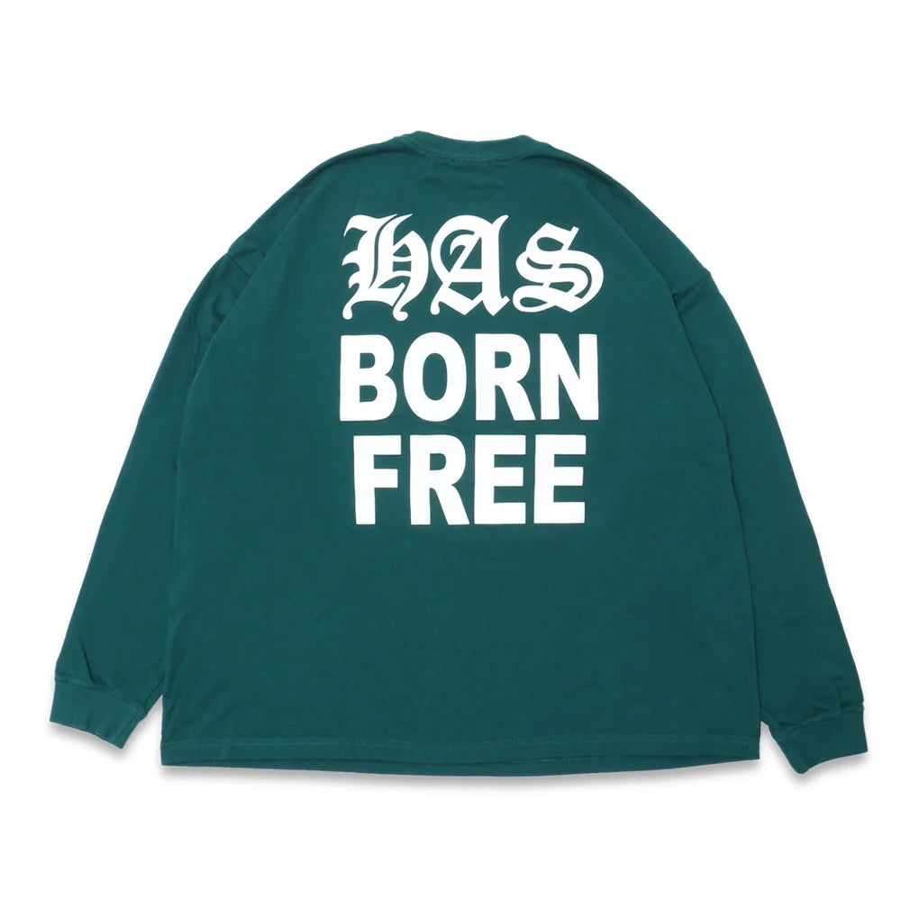 Bargain Alert HAS L/S Tee