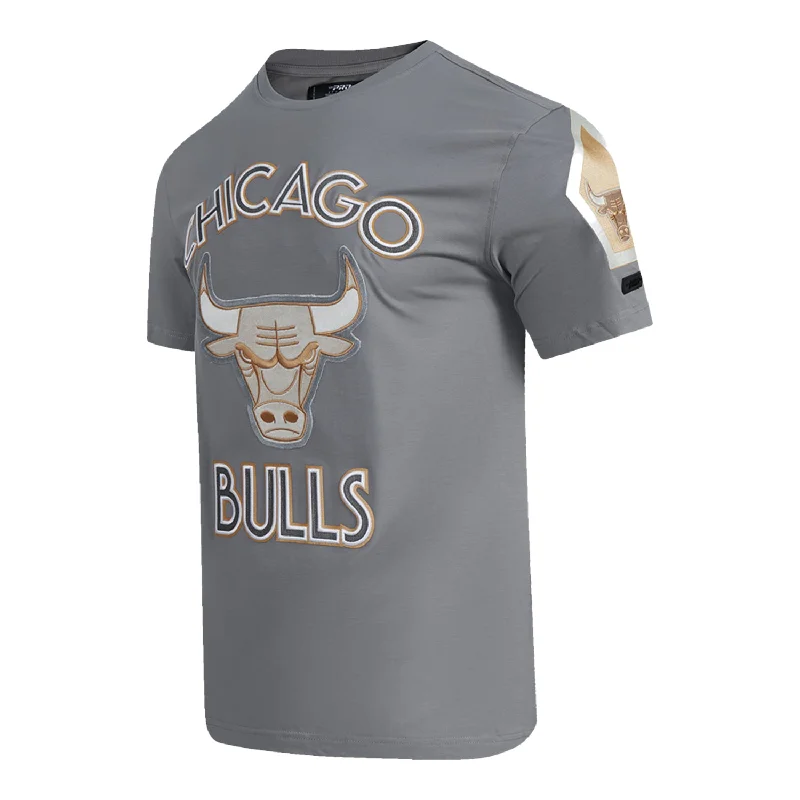 2024-25 Chicago Bulls City Edition Pro Standard Multi-Logo Grey T-Shirt